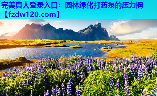 完美真人登录入口：园林绿化打药泵的压力阀