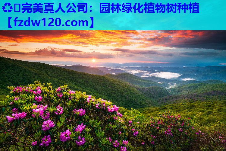 ♻️完美真人公司：园林绿化植物树种植