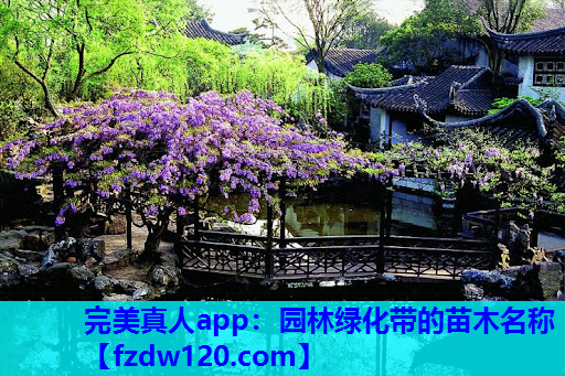 完美真人app：园林绿化带的苗木名称