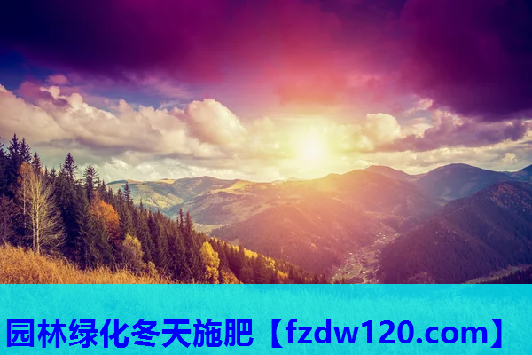 园林绿化冬天施肥