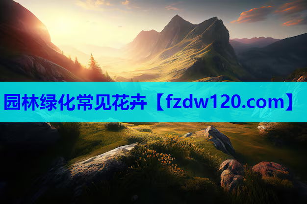 园林绿化常见花卉