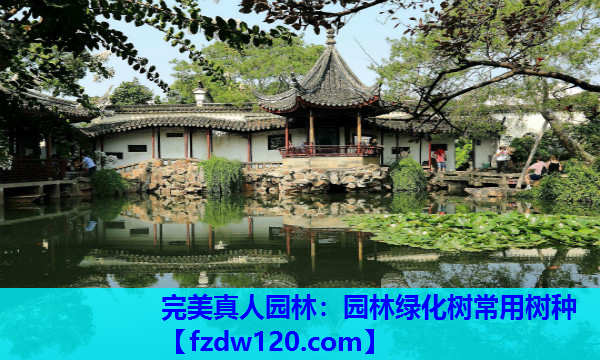 完美真人园林：园林绿化树常用树种