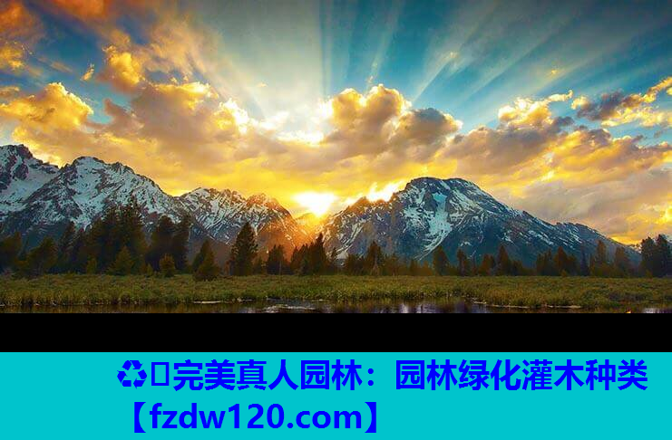 ♻️完美真人园林：园林绿化灌木种类