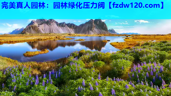 完美真人园林：园林绿化压力阀