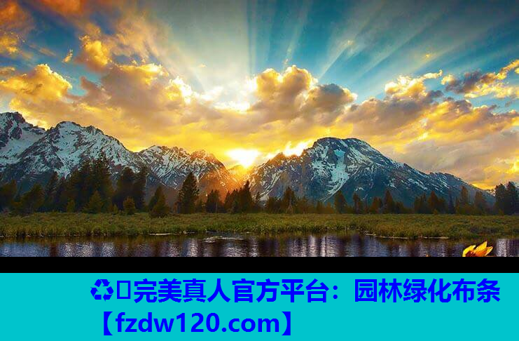 ♻️完美真人官方平台：园林绿化布条
