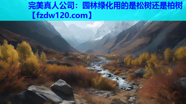完美真人公司：园林绿化用的是松树还是柏树