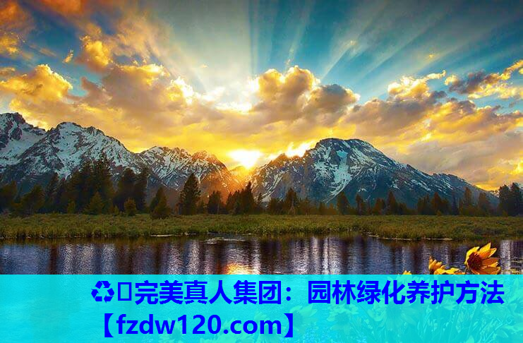 ♻️完美真人集团：园林绿化养护方法