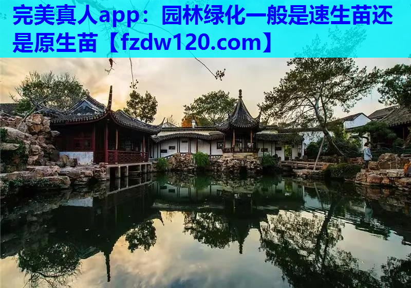 完美真人app：园林绿化一般是速生苗还是原生苗