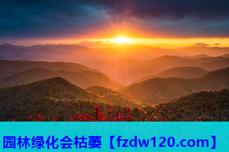 园林绿化会枯萎
