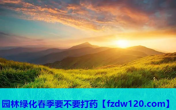 园林绿化春季要不要打药
