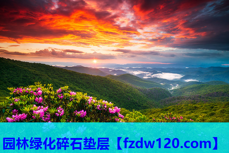 园林绿化碎石垫层