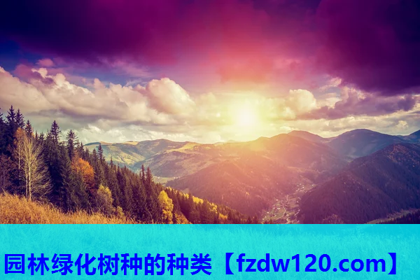 园林绿化树种的种类