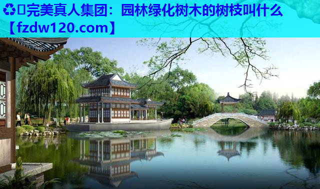 ♻️完美真人集团：园林绿化树木的树枝叫什么