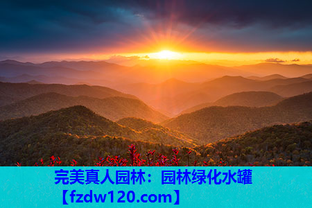 完美真人园林：园林绿化水罐