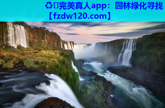 ♻️完美真人app：园林绿化寻找
