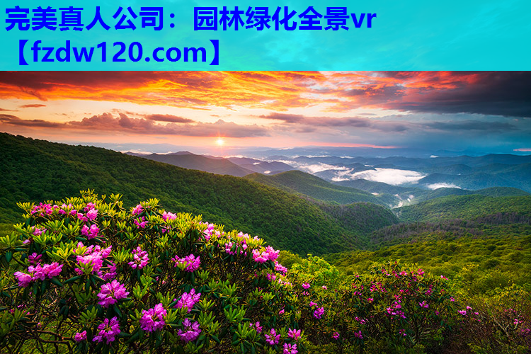 完美真人公司：园林绿化全景vr