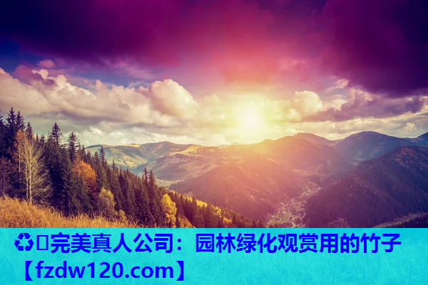 ♻️完美真人公司：园林绿化观赏用的竹子