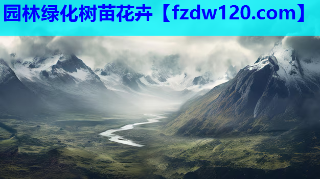 园林绿化树苗花卉
