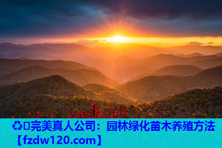 ♻️完美真人公司：园林绿化苗木养殖方法