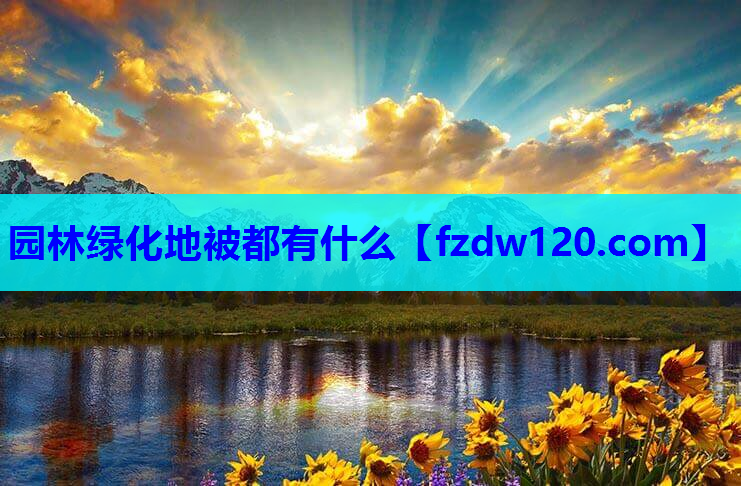 园林绿化地被都有什么