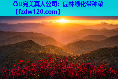 ♻️完美真人公司：园林绿化带种菜