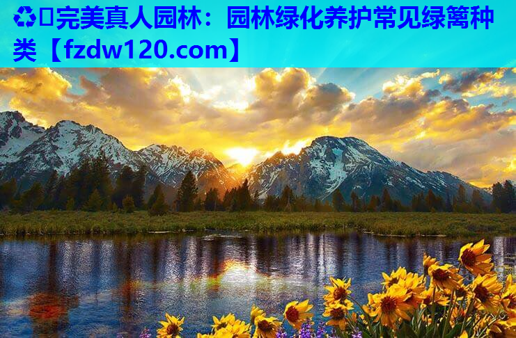♻️完美真人园林：园林绿化养护常见绿篱种类
