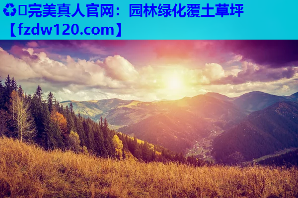 ♻️完美真人官网：园林绿化覆土草坪