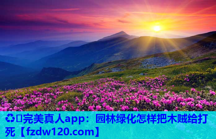 ♻️完美真人app：园林绿化怎样把木贼给打死