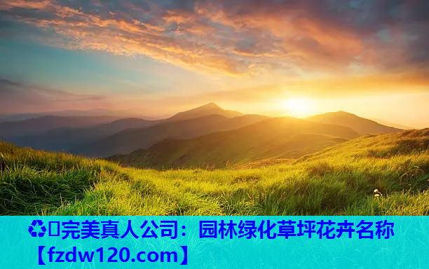 ♻️完美真人公司：园林绿化草坪花卉名称