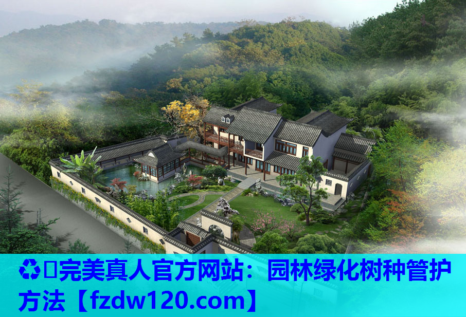 ♻️完美真人官方网站：园林绿化树种管护方法