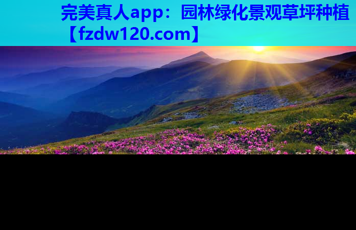 完美真人app：园林绿化景观草坪种植