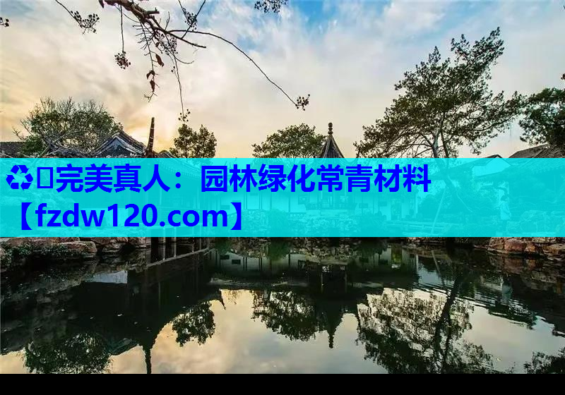 ♻️完美真人：园林绿化常青材料