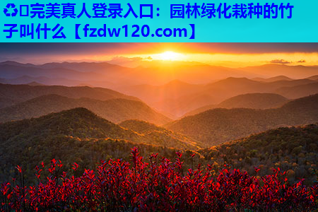 ♻️完美真人登录入口：园林绿化栽种的竹子叫什么