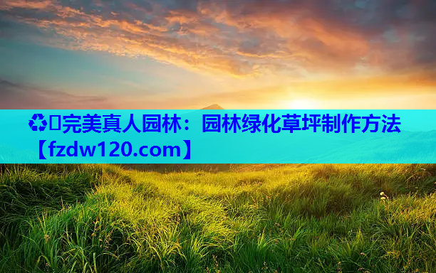 ♻️完美真人园林：园林绿化草坪制作方法