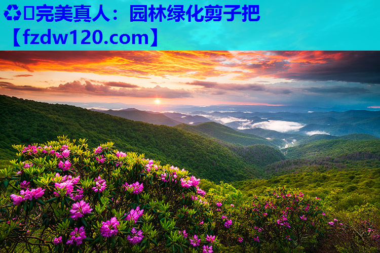 ♻️完美真人：园林绿化剪子把