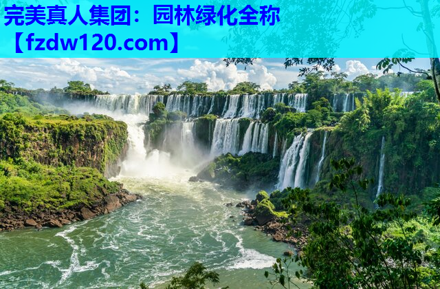 完美真人集团：园林绿化全称