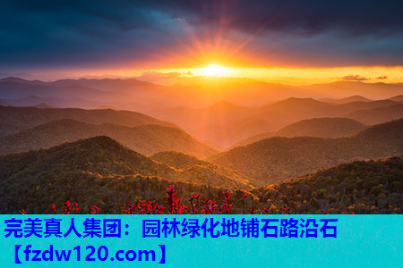 完美真人集团：园林绿化地铺石路沿石