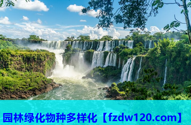 园林绿化物种多样化