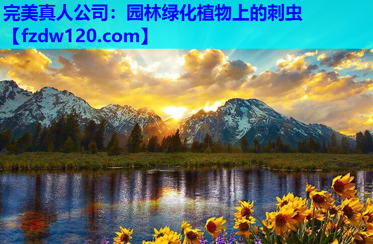 完美真人公司：园林绿化植物上的刺虫