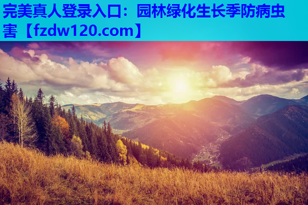 完美真人登录入口：园林绿化生长季防病虫害