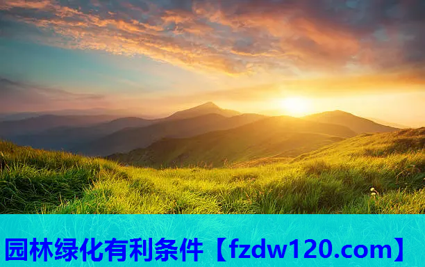 园林绿化有利条件