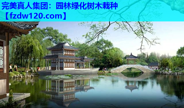 完美真人集团：园林绿化树木栽种