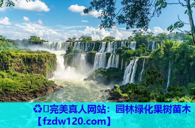 ♻️完美真人网站：园林绿化果树苗木