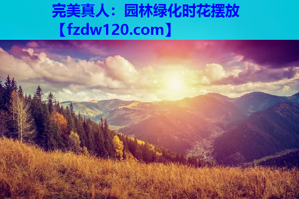 完美真人：园林绿化时花摆放