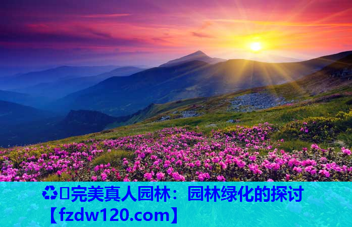 ♻️完美真人园林：园林绿化的探讨