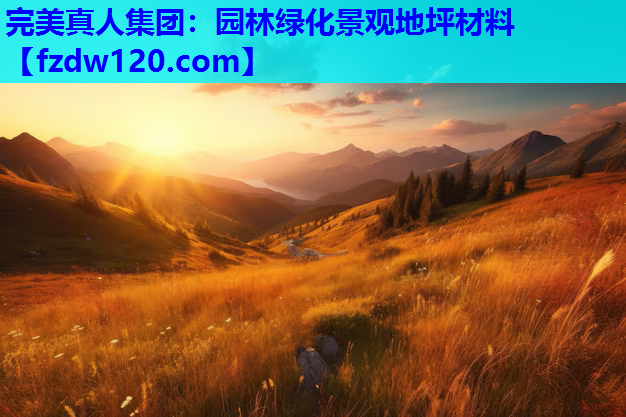 完美真人集团：园林绿化景观地坪材料