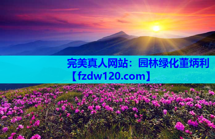 完美真人网站：园林绿化董炳利