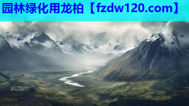 园林绿化用龙柏