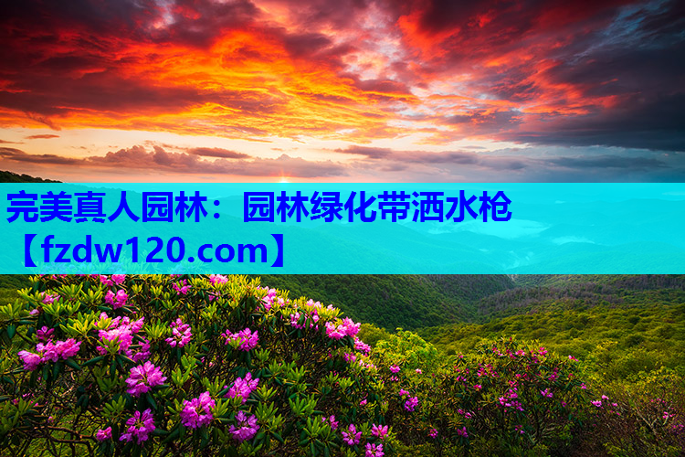 完美真人园林：园林绿化带洒水枪