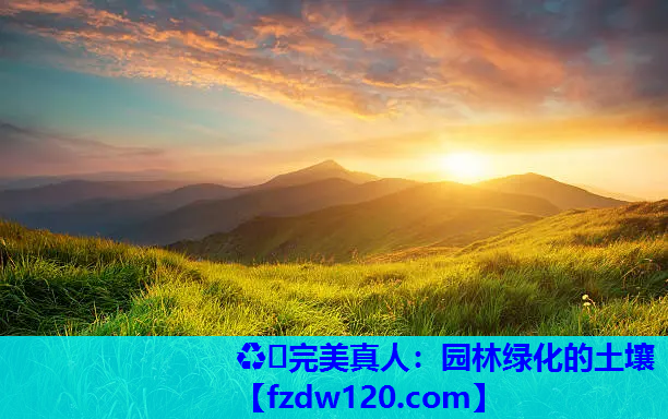 ♻️完美真人：园林绿化的土壤